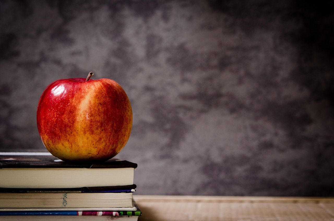 Ensino de Verbos na Educacao Infantil